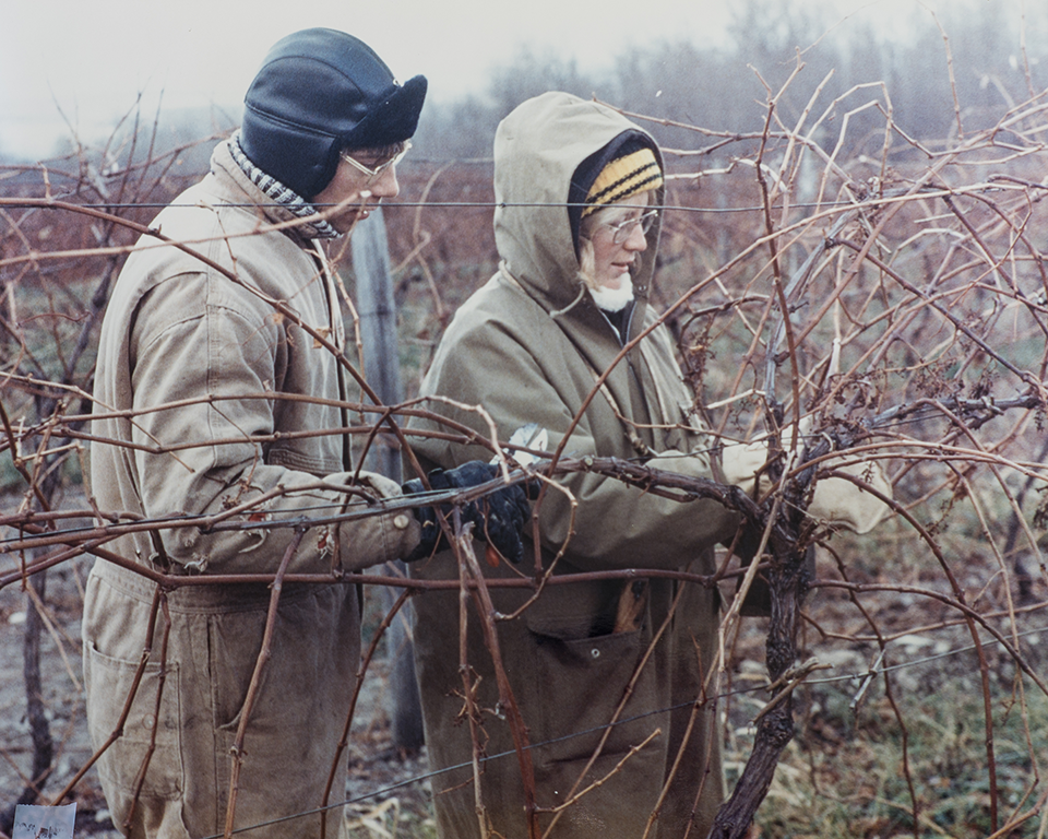 Old photo of Art and Joyce working in the vineyards.