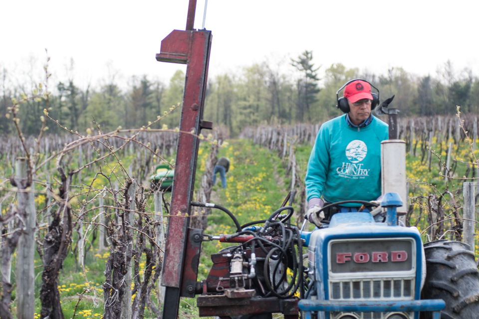 Art on tractor in vineyards.