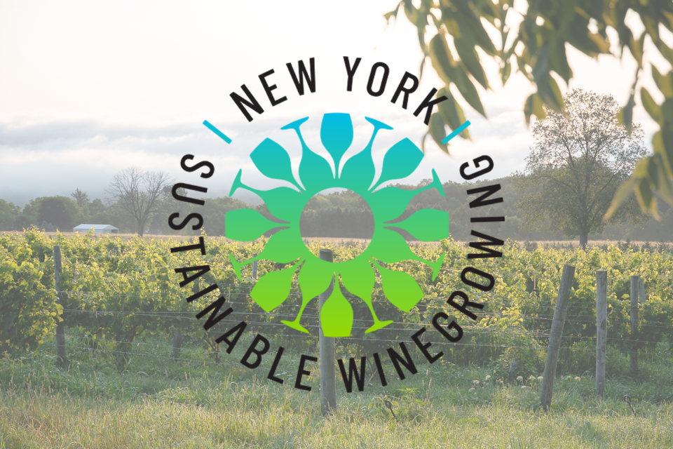 Image of vineyards with NY Sustainable Winegrowing logo in foreground.
