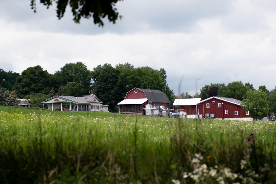 Image of Hunt Country Vineyards winery and barns from across a field.