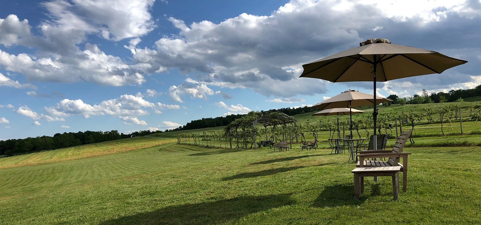 Image of outdoor tables and chairs in vineyards.