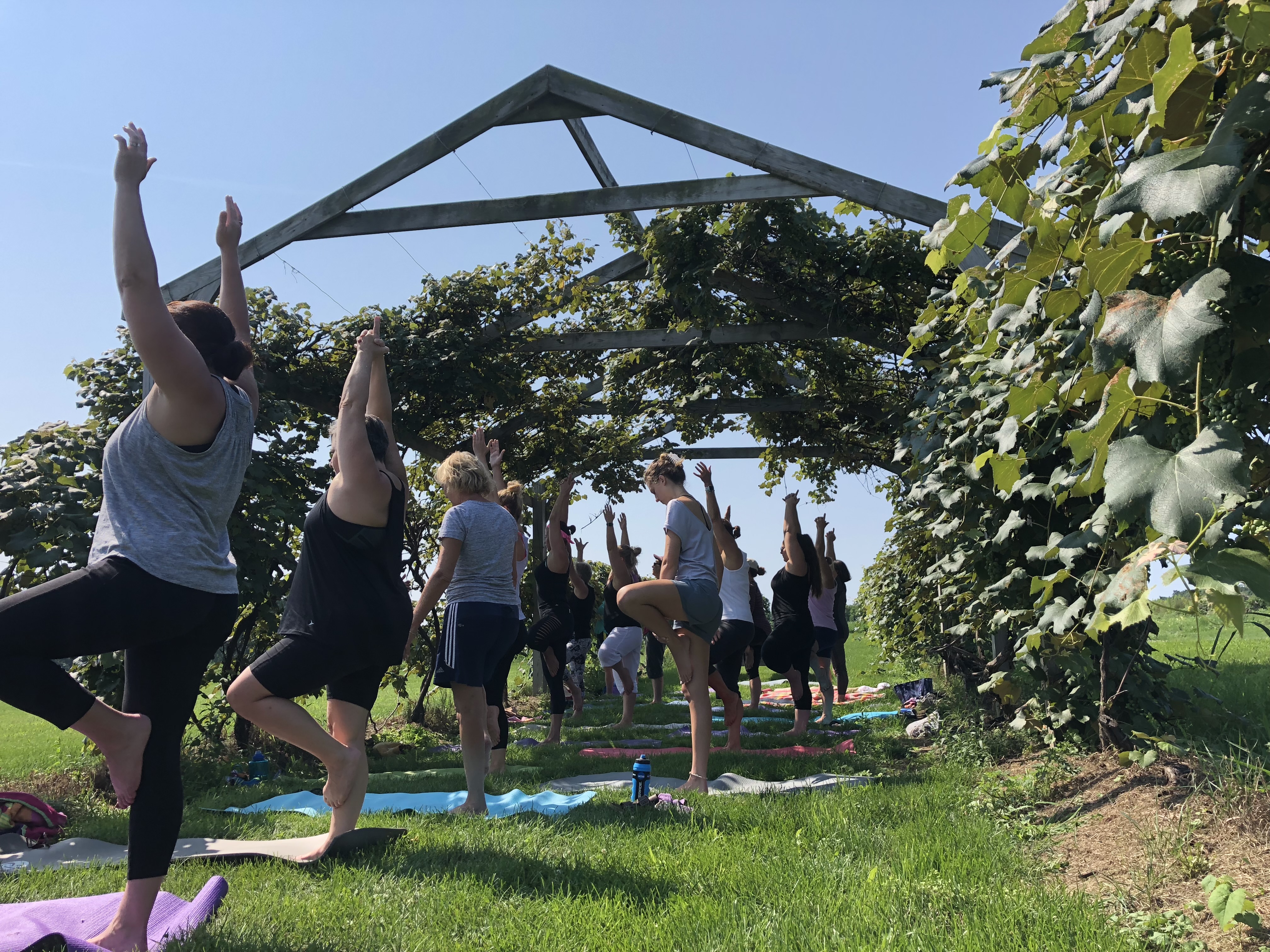 Yoga class under the Hunt Country Arbor